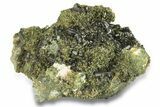 Lustrous, Epidote Crystal Cluster on Actinolite - Pakistan #257766-1